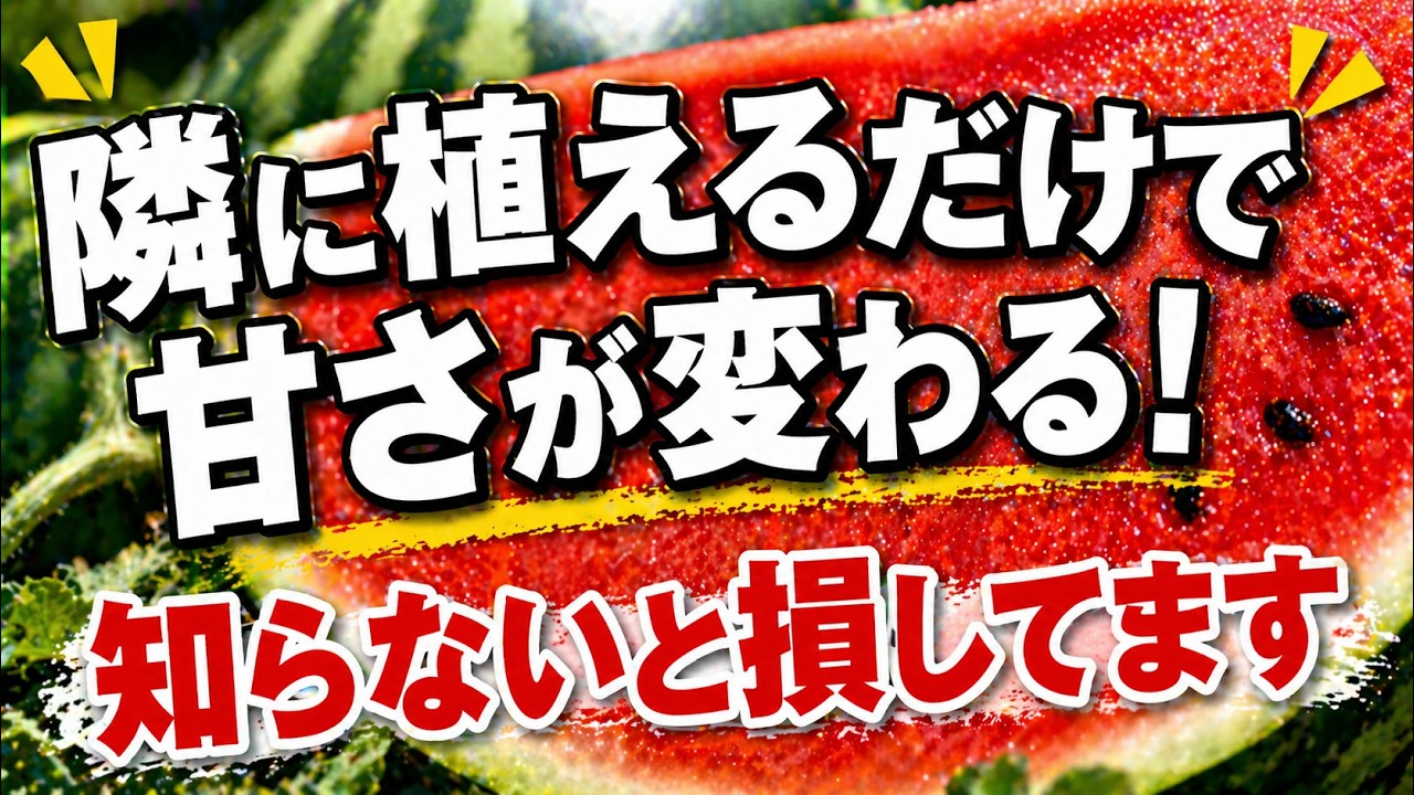 家庭菜園】スイカの隣にこれを植えるだけで甘さが全然違う！ネギ