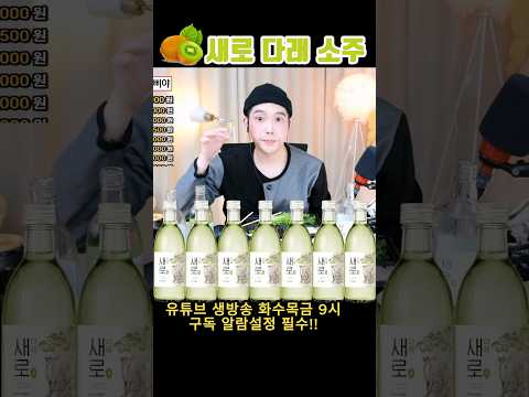 새로 <strong>다래</strong> 소주 키위소주 다래맛 새로소주 후기 편의점 소주 추천 술먹방 술방 라이브 리뷰