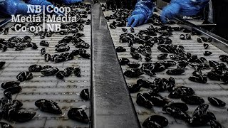Advocates reveal details about 'systematic exploitation' at New Brunswick seafood processor