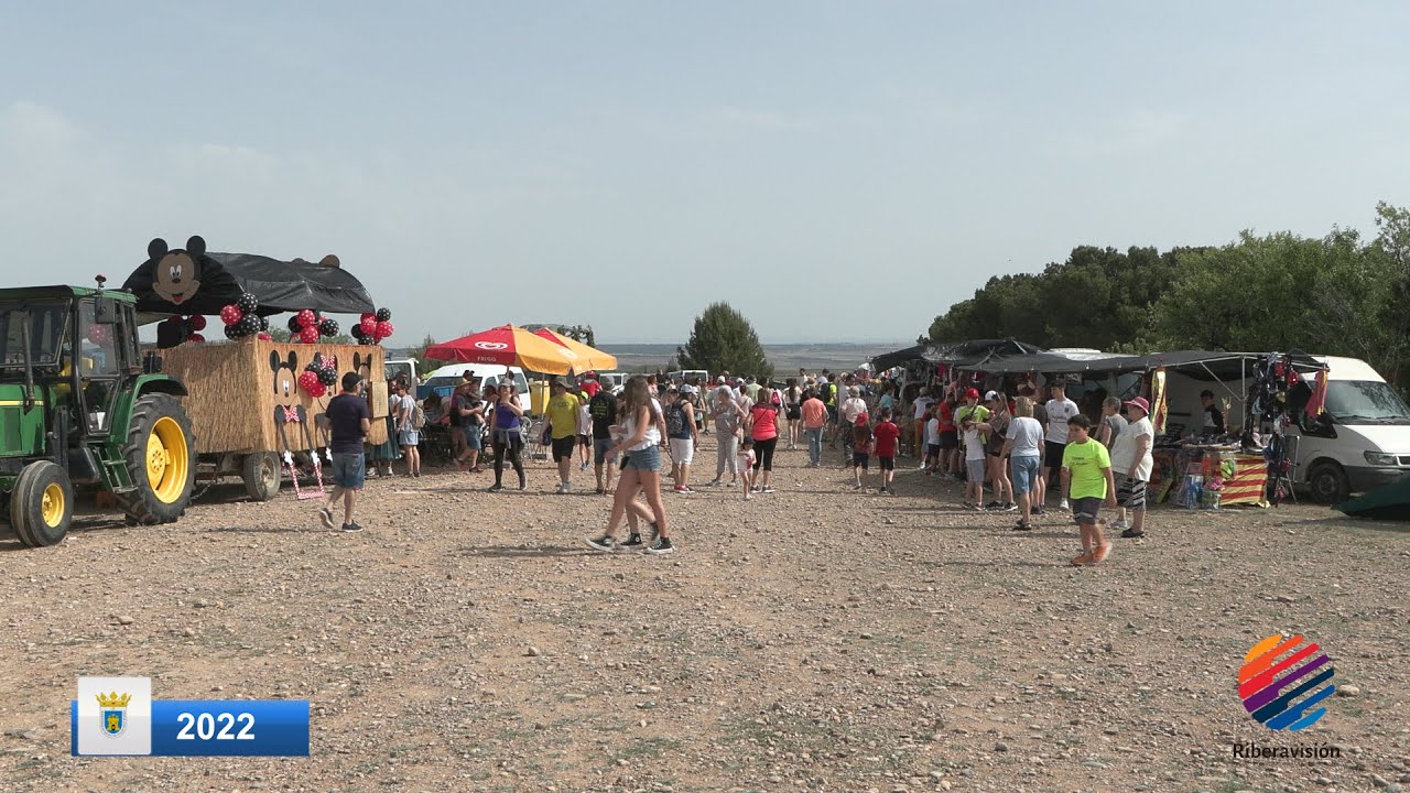 Cruceta (Cascante 2022)