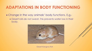 Class 4, Science, Chapter-3, Adaptations in Animals, Part-1