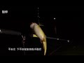 游钓中国 第二季 第39集 醉仙湖美景醉人 低水位收获惊喜 高清 沒有來過的地方東港大鵬灣鹽埔到處找釣點試試看還好有遇到魚群It's My Life TV Like