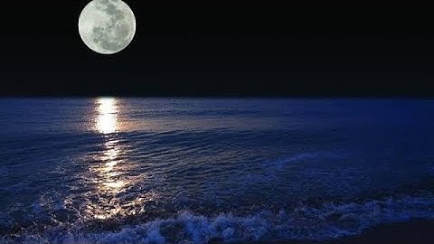 كلا انها كلمة هو قائلها و من ورائهم برزخ الى يوم يبعثون 🖤✨صوتي✨ ( سورة المؤمنون ) ❤️