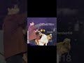 صحه يا كوكي اشتراك تفاعلو شويه ارمي اثبتو وجودكم       