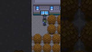 How to do the Hoenn Safari Zone glitch/PokeMMO