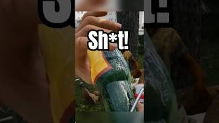 You and your friends are homeless! What do you do? (Steamgame)