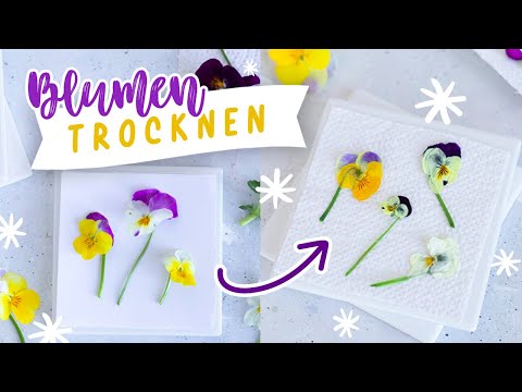 Video: DIY Rose Press Ideas: Können Sie Rosen pressen, um sie zu konservieren?