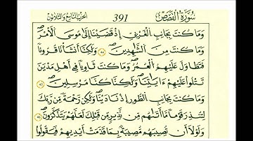 سورة القصص-رواية قالون-الشيخ علي الحذيفي