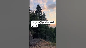 هنگ درام زدن آرامش بخش هنگدرام Handpan 