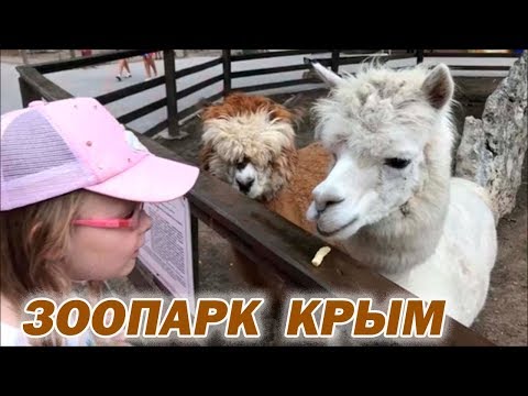 Vídeo: Què visitar a Evpatoria amb nens?