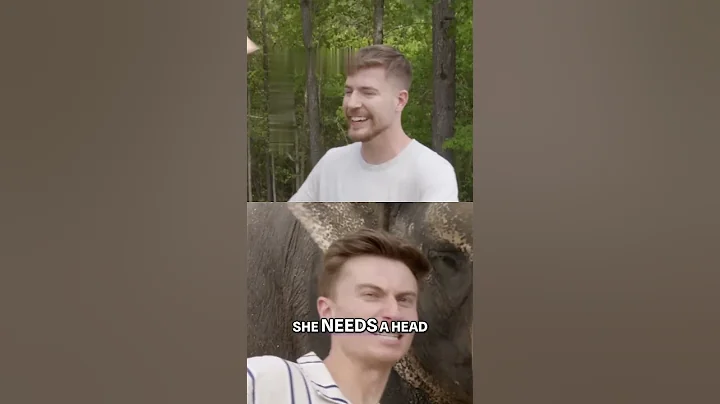 Mrbeast Unbelievable Art ChallengeElephant 😱