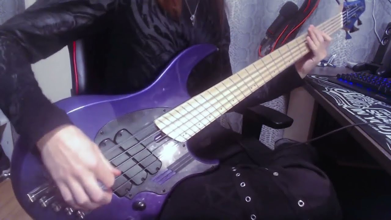 Darko US - Insects [Bass Cover]