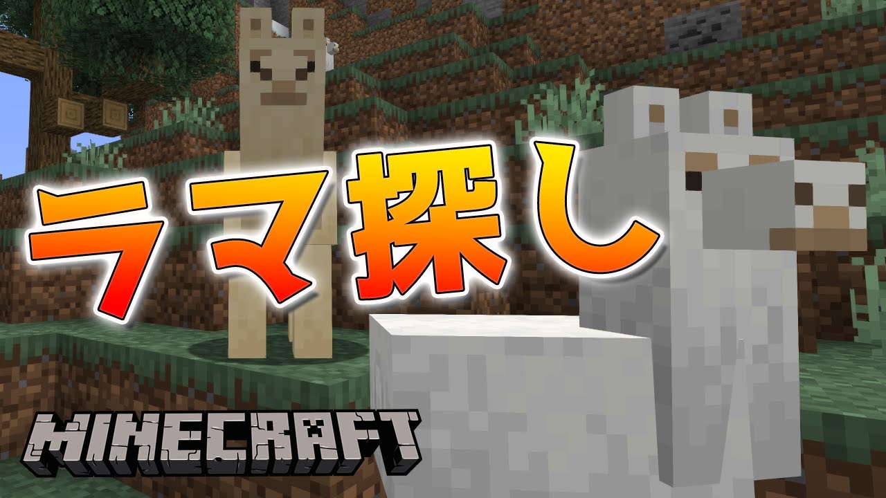 ラマ探して連れて帰る！懐かせ方や繁殖も！【マインクラフト】 - YouTube