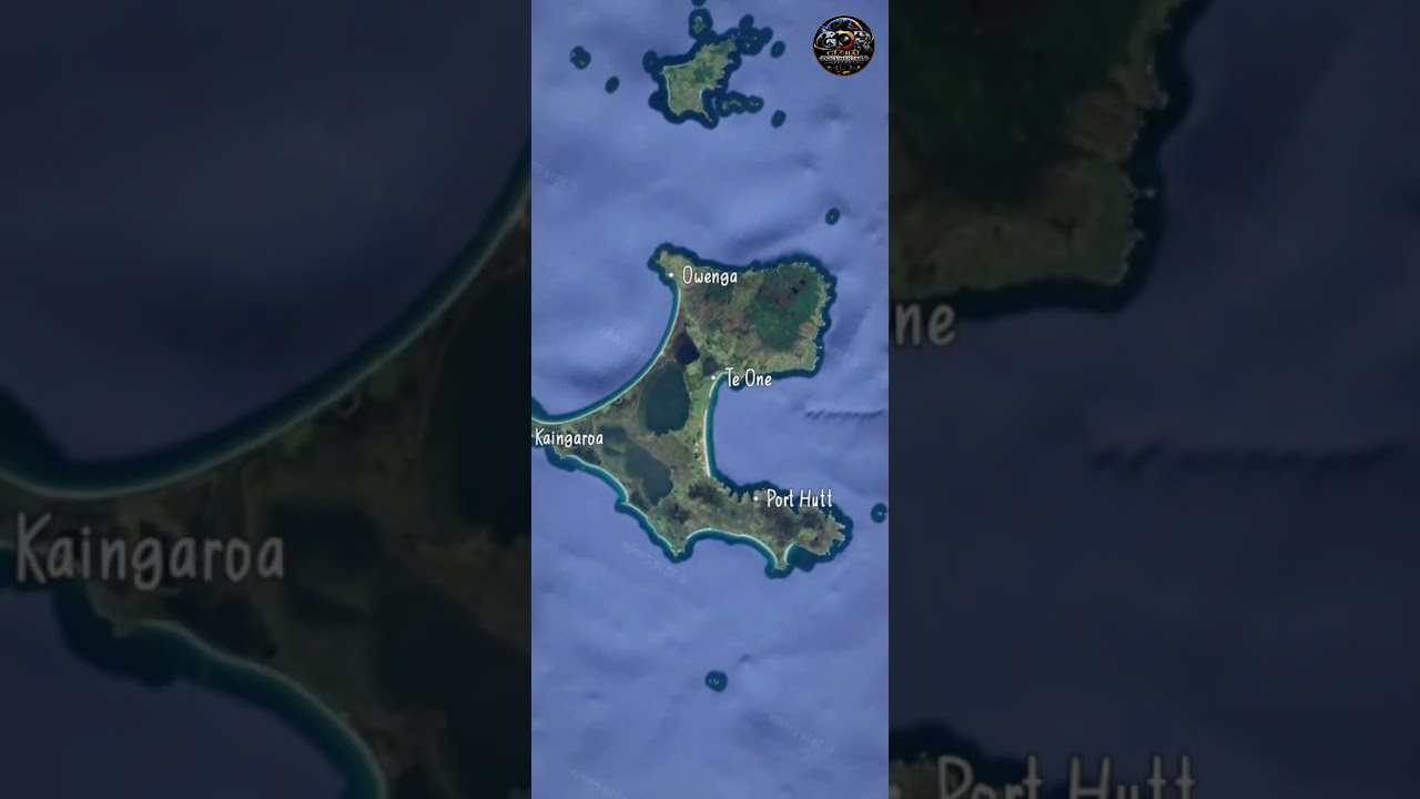 Why Is There Only One House on This Remote Island? 🏝️ #MangereIsland #GoogleEarthMysteries