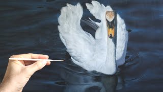 How to paint a realistic swan - swan painting - part I