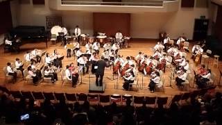 APA Junior String Ensemble: Incredibles