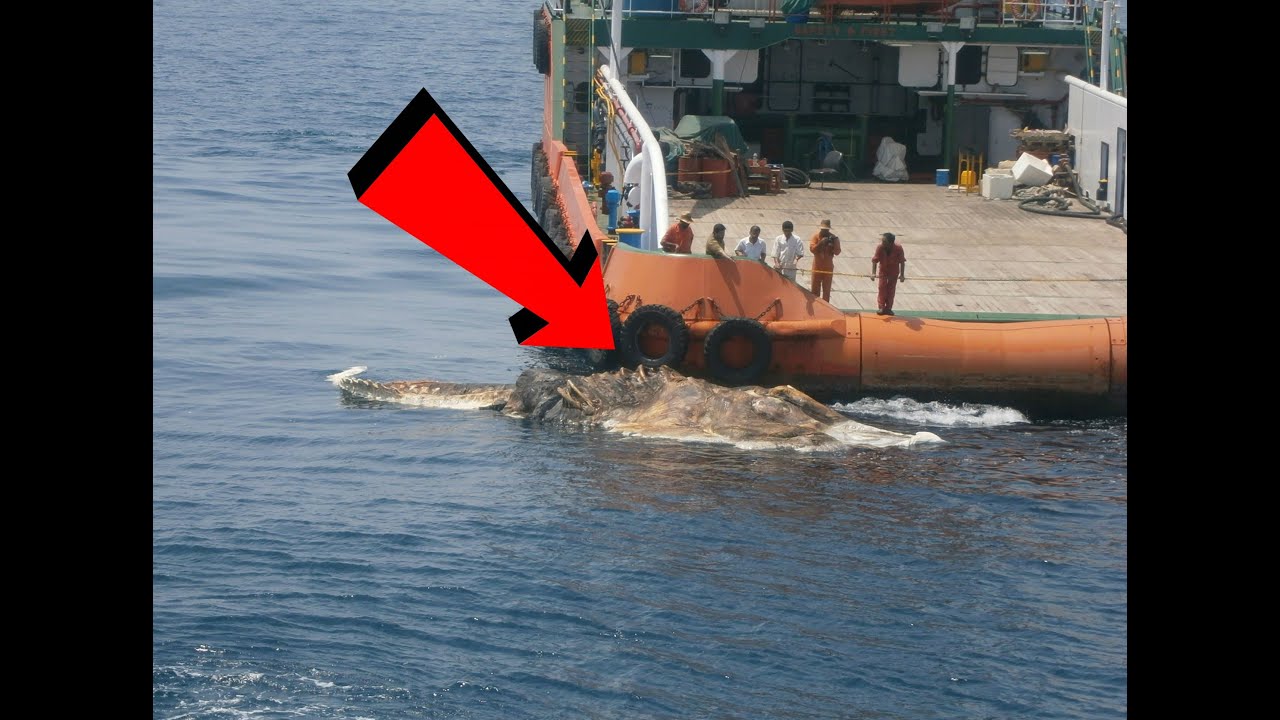 13 Crazy Persian Gulf Events