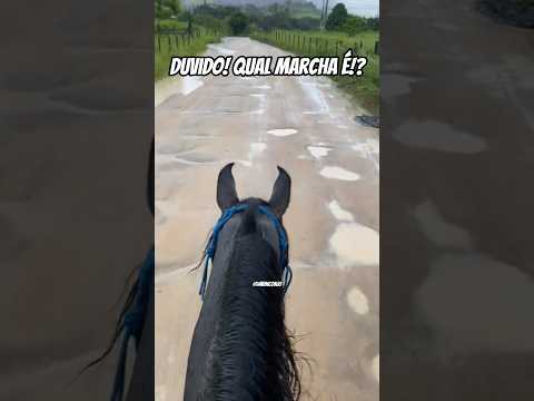 Duvido vocês acertarem qual marcha é!?🤔🤭😁👌🏻♥️🏇🏻🌧️🤩🫶🏻