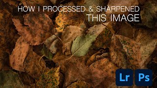 Nature Photography | How I process and sharpen this image
