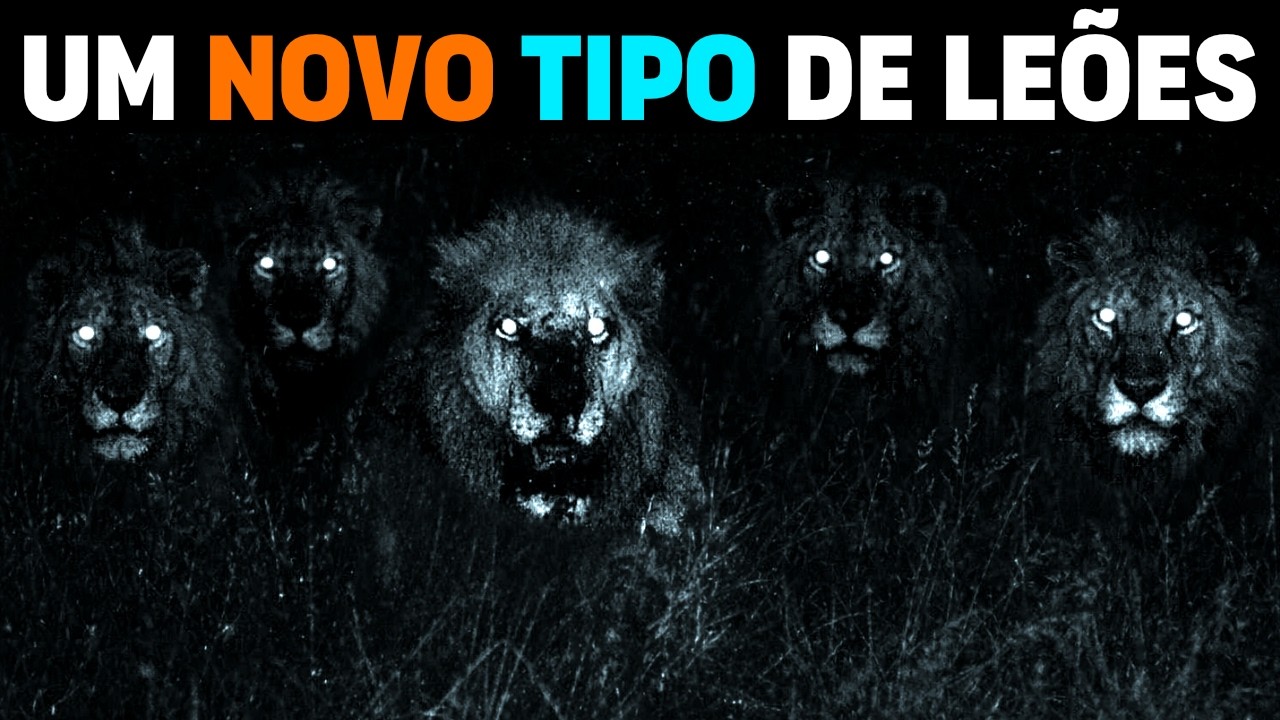 🚨 НЕ НОРМАЛЬНО! БАНДА САМЫХ УЖАСАЮЩИХ ЛЬВОВ Африки ПОЯВИЛАСЬ