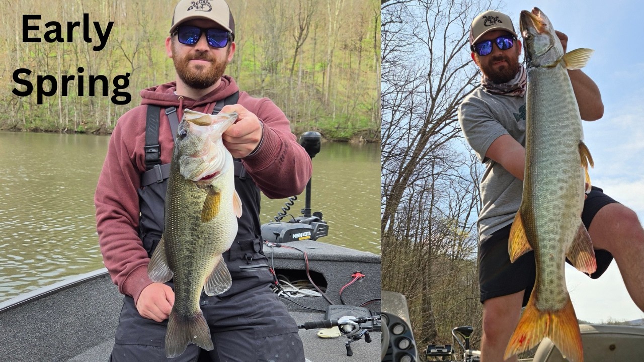 Early Spring Fishing! Targeting Wood For Big Bass!