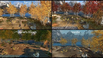 Comparing 3 offical SkyrimVR Wabbajack lists to Vanilla graphics (4K)
