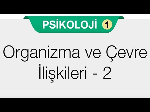 Psikolojinin Temel Süreçleri - Duyum ve Algı 2.Bölüm