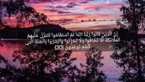 آيات السكينة والطمأنينة قران بصوت جميل جدا قران حالات واتس اب قصيره مقاطع انستقرام