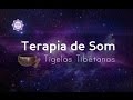 Terapia Vibracional com Tigelas Tibetanas para Meditação e Limpeza Energética | Vibrando Alto