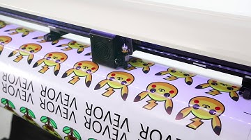 Vinyl Cutter Machine Vinyl Cutter Plotter Signmaster Software Sign Making Machine with Stand