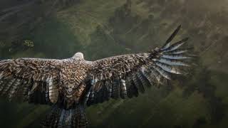 EAGLE MOUNTAIN  02 |  FULL HD  | 60 FPS | Free HD Video - no copyright