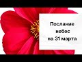 Послание небес на 31 марта. Забота у душе.