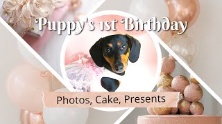 Dachshund Puppy Birthday - 1st Birthday Video by Dachshund Station 101 views 1 year ago 2 minutes, 36 seconds