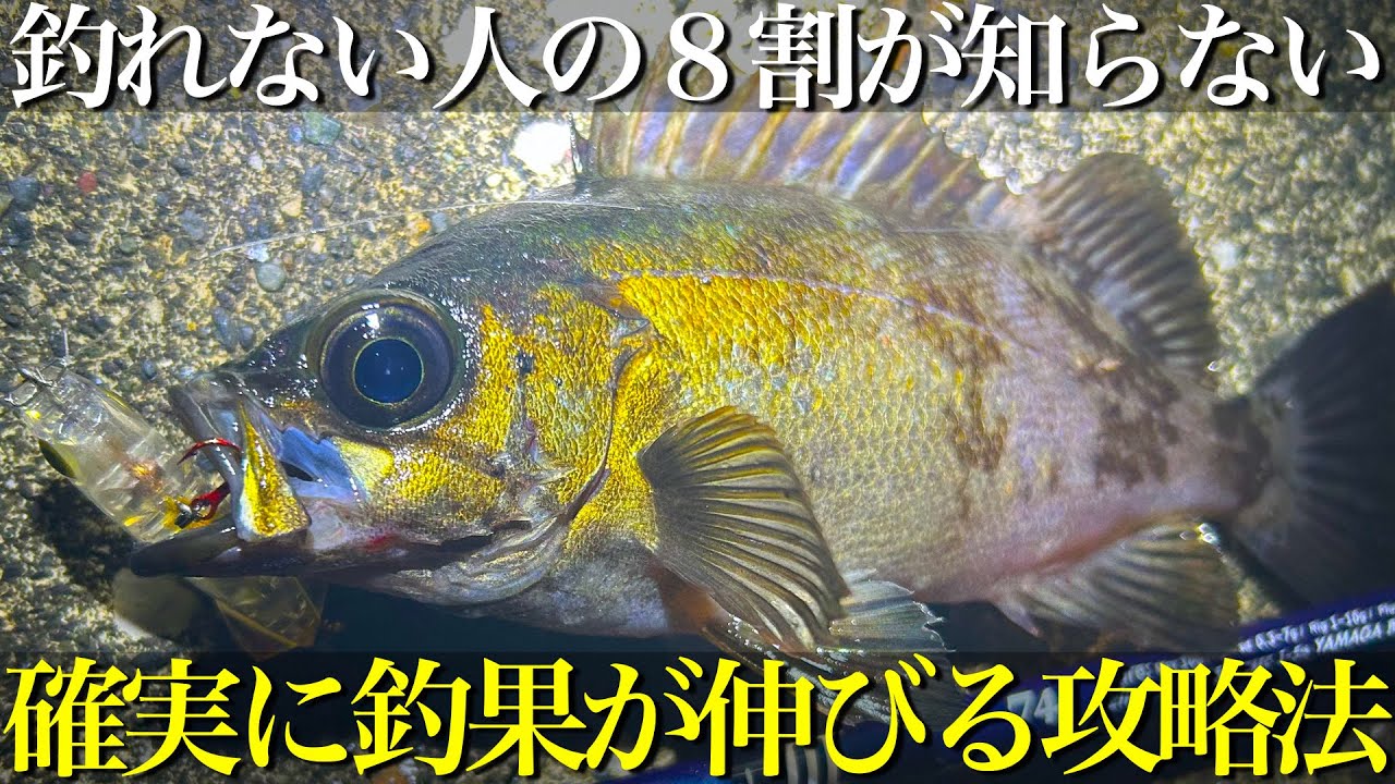 Mebaru Fishing] Don