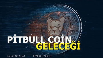 Pitbull Token incelemesi BEP20 NETWORK