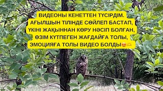 видео: Каналымдағы пайдалы видеолар|ағылшын/түрік тілі курсы|“Құран оқуға 1қадам” курсы|1 жылда-50кітап оқу картинка: Каналымдағы пайдалы видеолар|ағылшын/түрік тілі курсы|“Құран оқуға 1қадам” курсы|1 жылда-50кітап оқу