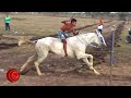 Horse racing  carreras de caballos  las piedras bolvar colombia 6 marzo 2022