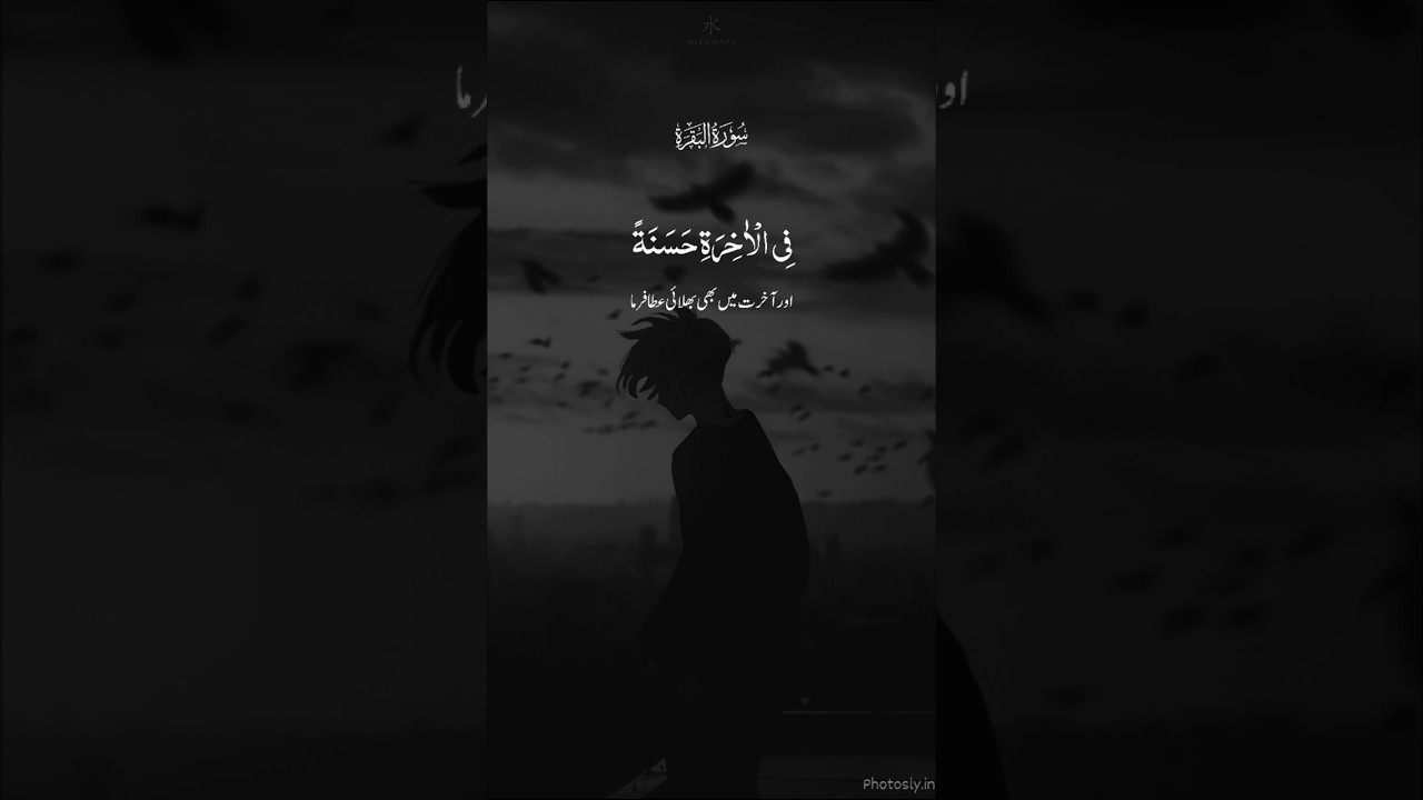 The One Ayah That Changed My Life Forever 🤲🏼#islam #quran