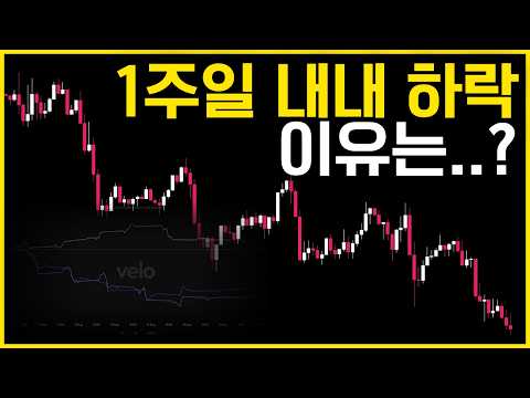 비트코인 일주일 내내 하락. 이유는 생각보다 간단했습니다.