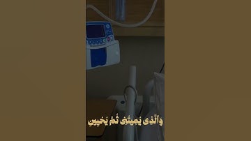 آستغفر الله🤍 . قران كريم القارئ ماهر المعيقلي سورة الشعراء Quran