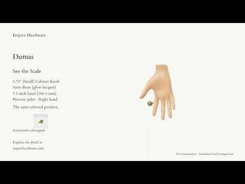 Video preview: Dumas, Satin Brass (gloss lacquer) / 0.75" (Small)