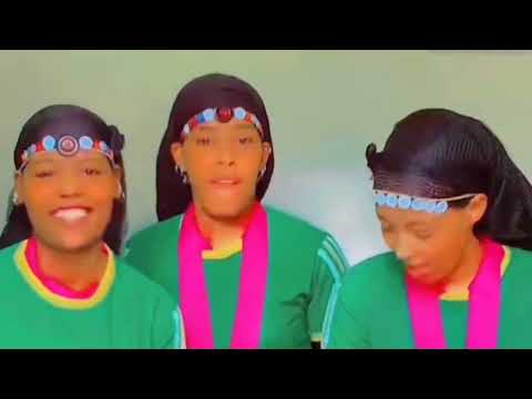 አስገራሚ የሀላብኛ ዘፈን