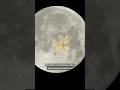 Sehnsucht nach Einheit - Mond in Fische am 13.04.2026 um 10:49 Uhr