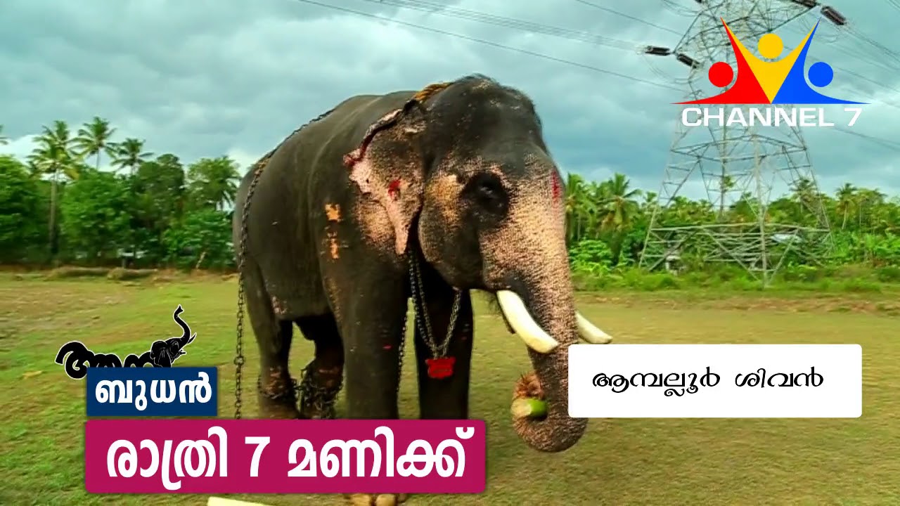 AMBALLUR SIVAN TV PROMO CHANNEL 7 CINE HOME app bhoomika digital