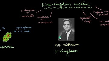 Systems of Classification | Biological Classification | Biology | Khan Academy
