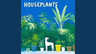 Houseplants