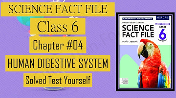 Human digestive system ||  Solved Test Yourself || Chapter 4 || Class 6 || Science Fact File