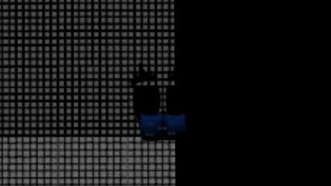 Uncannyblocks band different 1 year Remastered (2450 - 2500) (Season 25) different Design￼ of 2500￼