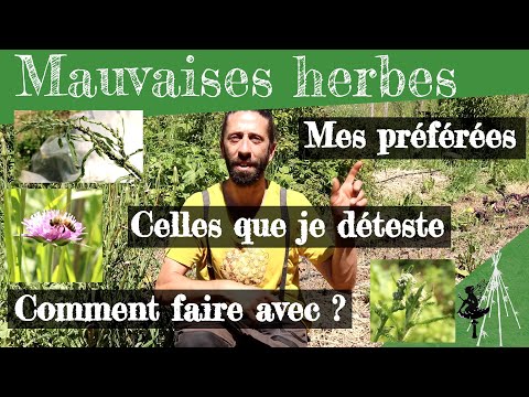 Vidéo: De Quoi Parlent Les Mauvaises Herbes