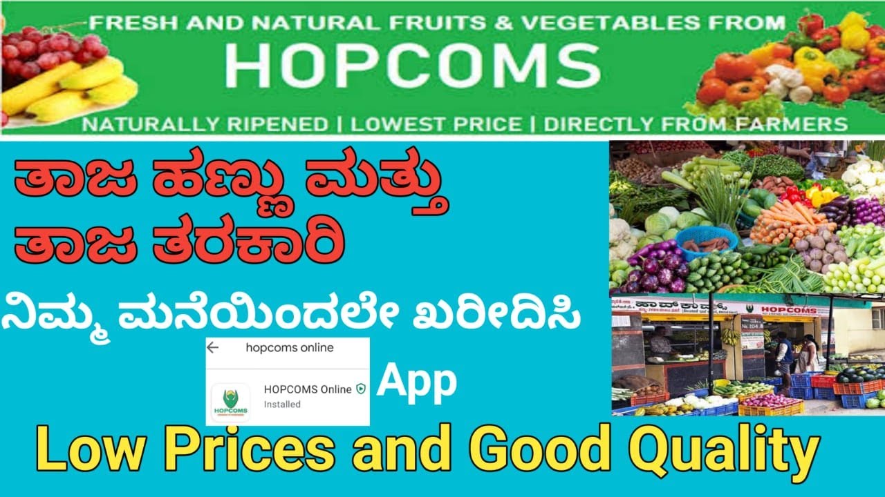 Online App Fresh Market at Your Door Steps Activities of